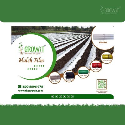 mulch_film_2